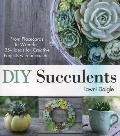 Diy Succulents