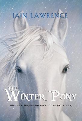 Winter Pony