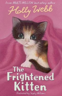 Frightened Kitten