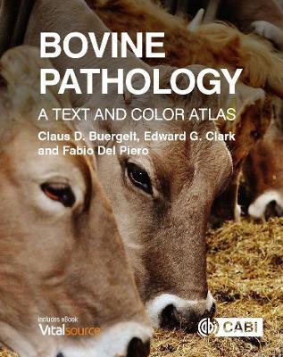 Bovine Pathology