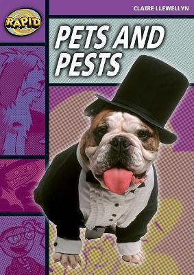 Rapid Reading: Pets and Pests (Stage 1, Level 1B)