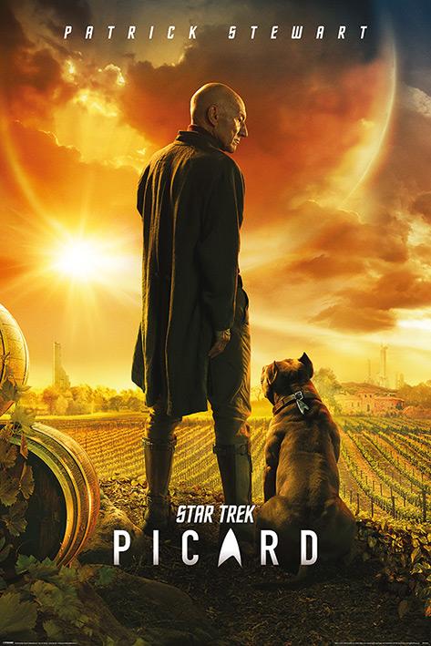 POSTER STAR TREK PICARD (PICARD NUMBER ONE), MAXI