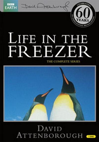 LIFE IN THE FREEZER (1994) DVD