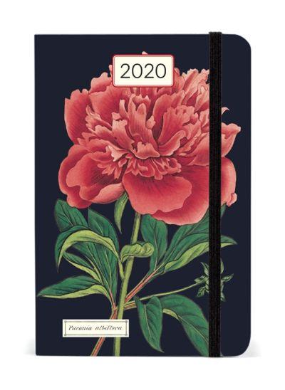 2020 Kalendermärkmik Botanica