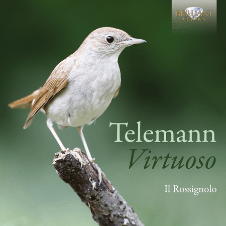 TELEMANN - VIRTUOSO (IL ROSSIGNOLO) CD