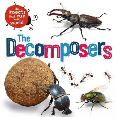Insects that Run Our World: The Decomposers