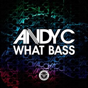 ANDY C - WHAT BASS (2017) 12"