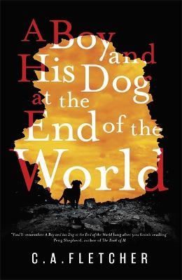 Boy and his Dog at the End of the World