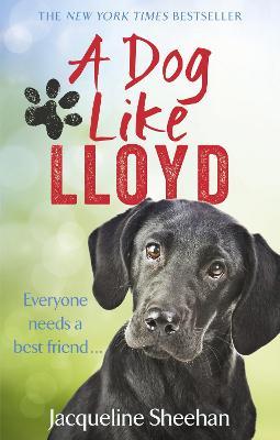 Dog Like Lloyd