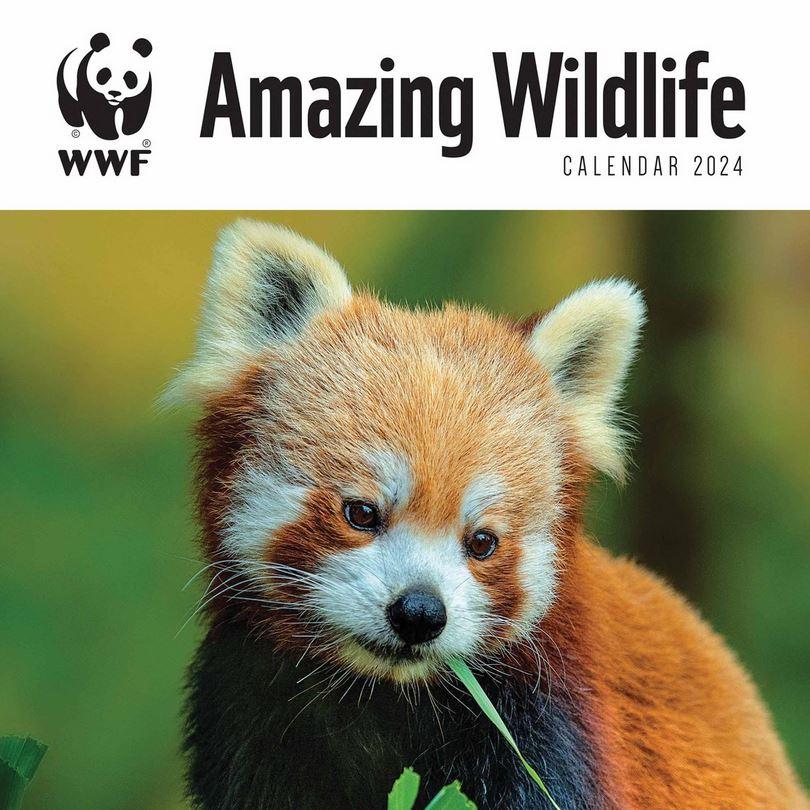 2024 seinakalender WWF, Amazing Wildlife, 30x30cm