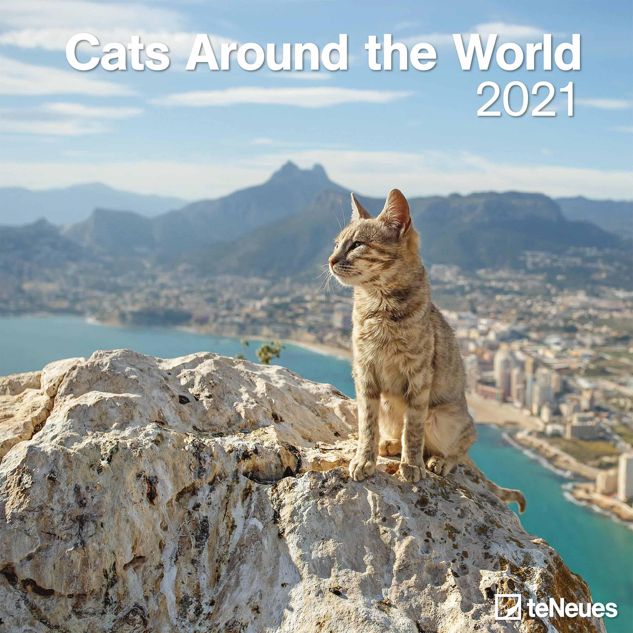 2021 Seinakalender Cats Around The World, 30X30cm