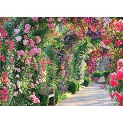 Õnnitluskaart Archway of Roses