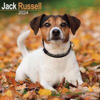 2024 seinakalender Jack Russell Terrier, 30x30cm