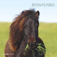 2024 seinakalender Ponys, 30x30cm